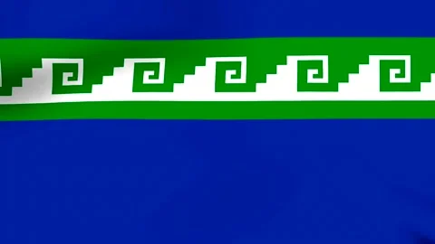 Waving flag of the Mapuche people featuring traditional green and white geo.. 스톡 동영상 346546188
