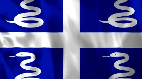 Waving flag of Martinique with blue background and four white snakes Video stock 343583017