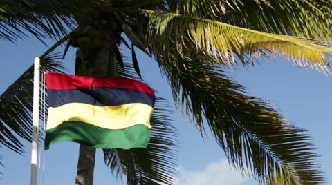 Waving flag of Mauritius Video stock 68773265