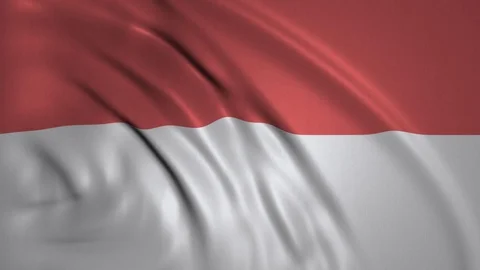 Waving Flag of Monaco in the Wind Stock Footage 98125005