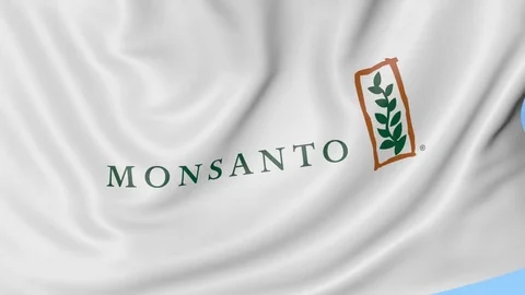 Waving flag with Monsanto logo. Seamles loop 4K editorial animation Stock Footage