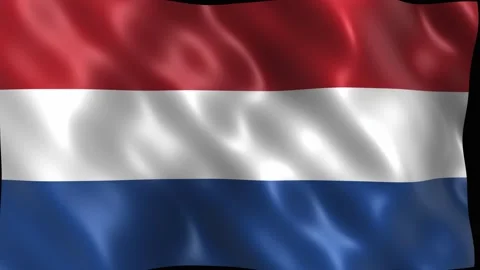 Waving flag of the netherlands with silky texture. 4K Video stock 344047116