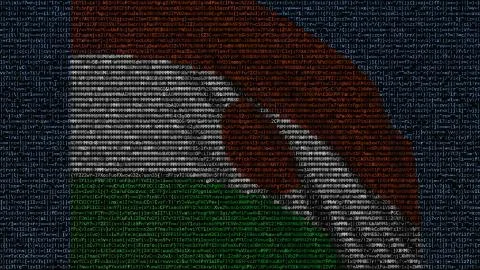 Waving flag of Niger made of text symbols on a computer screen. Conceptual 3D Stockillustratie