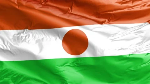 Waving flag of Niger Republic. Loop Stock Footage 232724963