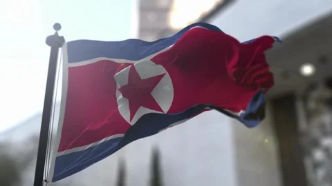Waving Flag of North Korea Stock Footage 289630962