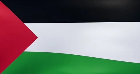 Waving flag of Palestine	 Stock Footage 318975966