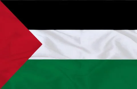 Waving Flag of Palestine Stock Illustration