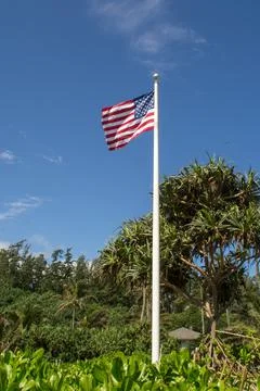 Waving flag Stock Photos