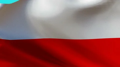 The waving flag of Poland on a blue screen. Stock Footage 218163965