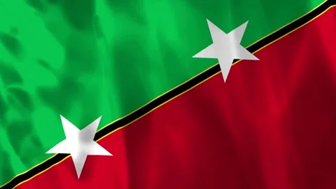 Waving flag of Saint Kitts and Nevis with realistic fabric texture Vídeo Stock 343583268