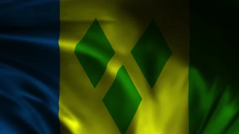Waving a flag of Saint Vincent and the Grenadines, the national flag flying Video stock 237436677