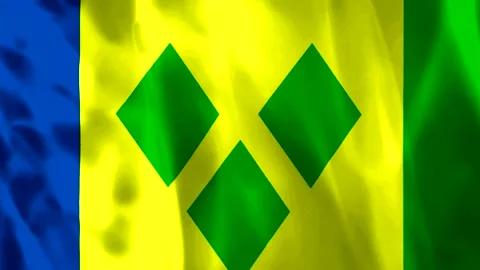 Waving flag of Saint Vincent and the Grenadines with fabric texture and rea.. 库存影片 343583324