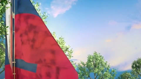 Waving flag of Samoa on woods and blue sky background 動画素材 239053804