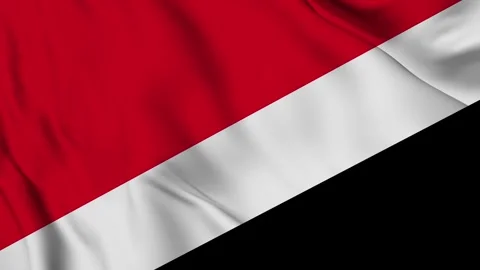 Waving Flag of The Sealand Principality of Stock Footage 294089329
