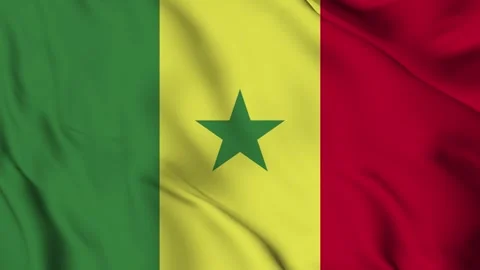 Waving Flag of The Senegal Stock Footage 294089431