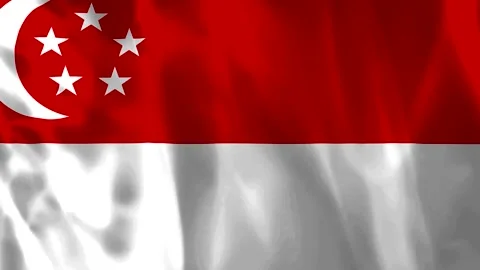 Waving flag of Singapore featuring a crescent moon and five stars on a red .. Video stock 343583470