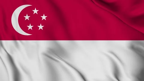 Waving Flag of The Singapore Stock Footage 294089613