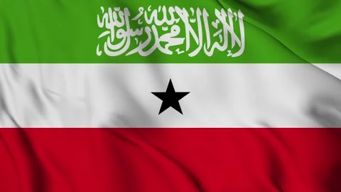 Waving Flag of The Somaliland Stock Footage 294089954