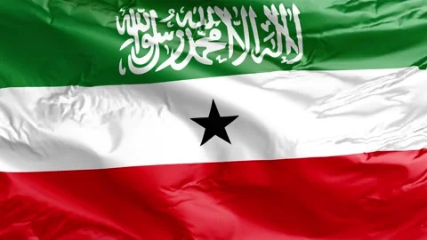 Waving flag of Somaliland Republic. Loop Stock Footage 232725310