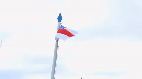 Waving flag of the State of Amazonas in Brazil Stock Footage 40993883