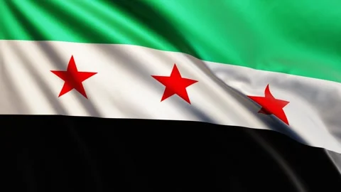 The waving flag of Syria in the best quality with a fabric texture Stock Footage 295382289