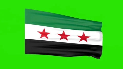 Waving flag of Syria on green screen background. Stock Footage 320355294