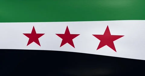 Waving flag of Syrian opposition	 Stock Footage 318976251