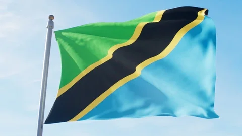 Waving Flag Of Tanzania Loop Stock Footage 127569815