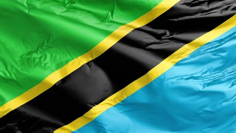 Waving flag of Tanzania Republic. Loop Stock Footage 232725420