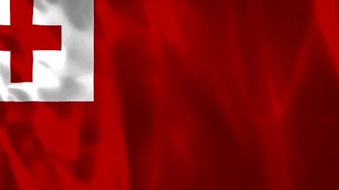 Waving flag of Tonga featuring a red field and a white canton with a red cros Vídeos de archivo 343583894