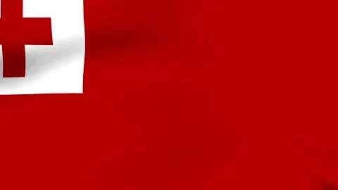 Waving flag of Tonga featuring a red field with a white canton containing a.. Vidéo 346546317