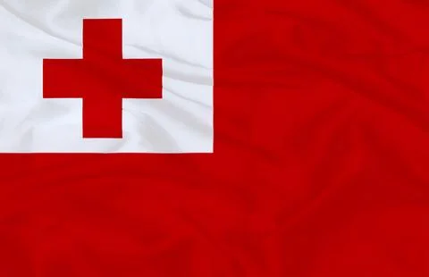 Waving Flag of Tonga Stock Illustration