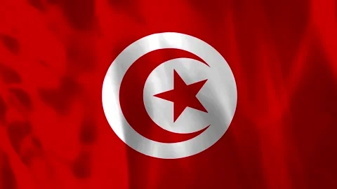 Waving flag of Tunisia featuring a red background with a white circle conta.. Video stock 343583872