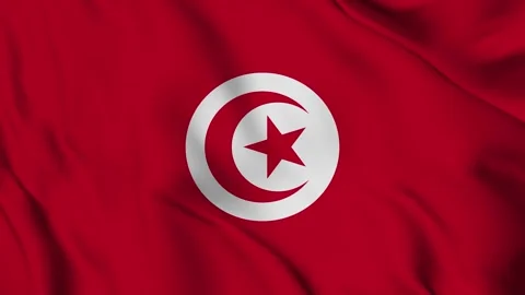 Waving Flag of The Tunisia Video stock 294091013