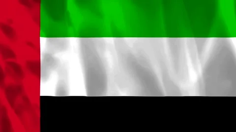 Waving flag of the United Arab Emirates with soft fabric texture Video stock 343583809