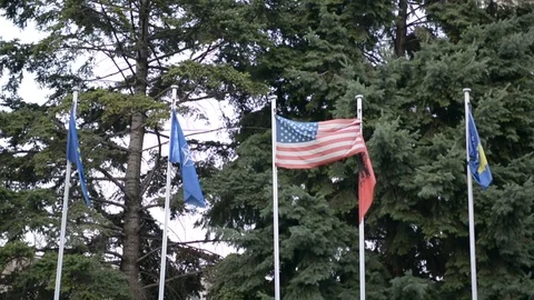Waving flag of USA beside the flags of Albania, Kosovo, NATO and EU Stock Footage 112742345