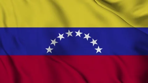 Waving Flag Of The Venezuela Stock Footage 294087240