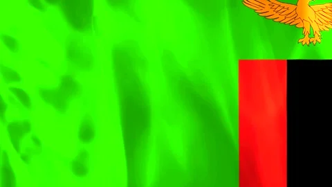 Waving flag of Zambia featuring bright green field with eagle and colorful .. Video stock 343583967