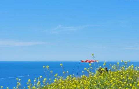 Waving flags on the background of the sea, spring. Selective focus Stock Photos