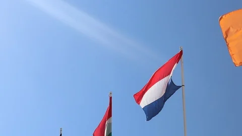 Waving flags Stock Footage 101438559