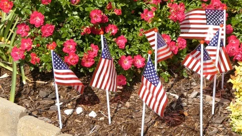 Waving flags in garden 2 Stock Footage 107685739