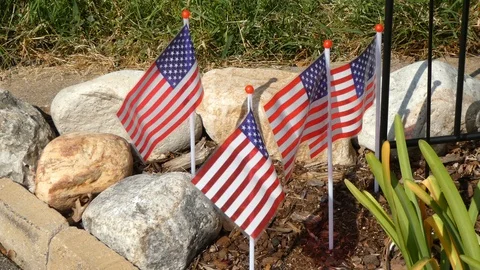 Waving flags in garden Stock Footage 107685724