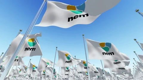 Waving Flags with NEM XEM open-source crypto currency coin sign Stock Footage 85511340