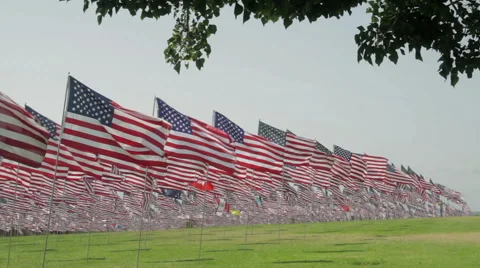 Waving flags at a September 11th flag memorial Stock Footage 42965154
