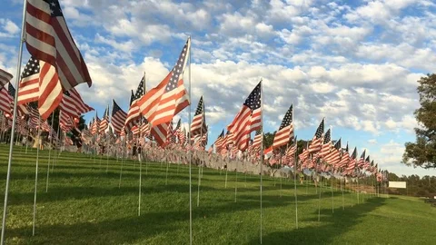 Waving flags at a September 11th flag memorial Stock-Footage 80396098