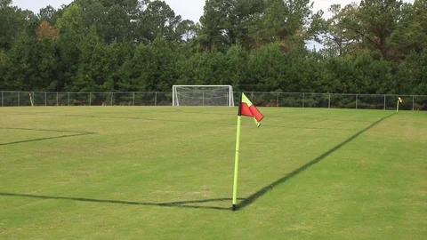 Waving flags on soccer field  Stock Footage 81753652
