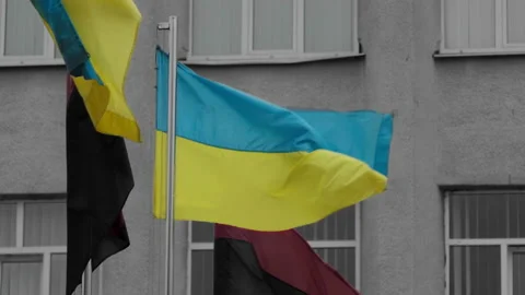 Waving flags of Ukraine with the flags of the rebel army. 4K, slow motion Video stock 175821086