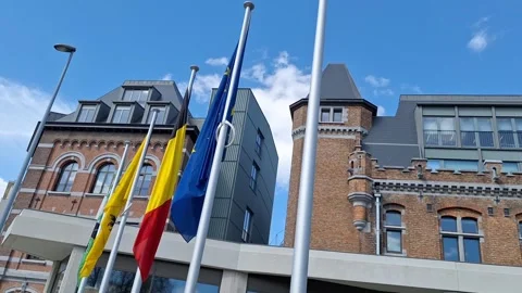 Waving flags in the wind Stock Footage 274307873