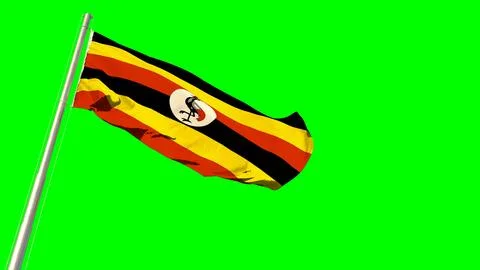 Waving glorious flag of Uganda on chroma key screen Stock Illustration