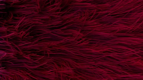 Waving Hair Stock Footage 161634517